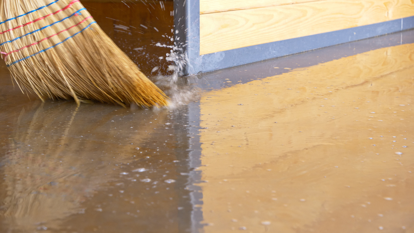 what to do after basement floods