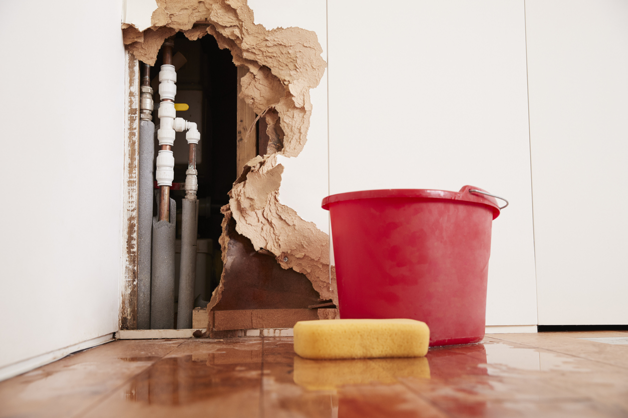 Water Damage Restoration in Leesburg