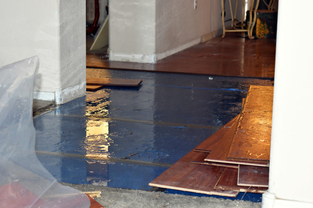 Water Damage Repair in Chantilly