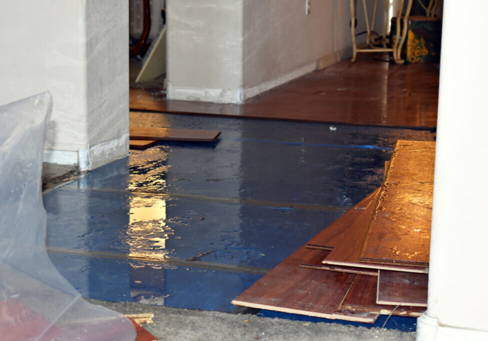 Water Damage Repair in Chantilly